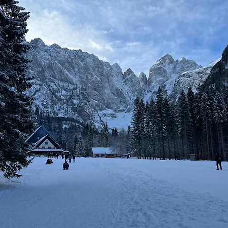 Apartma Belca Mountain Escape *