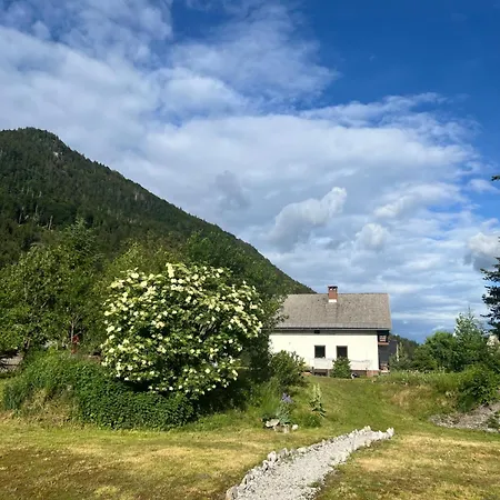 Apartma Belca Mountain Escape Lägenhet *