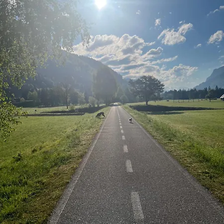 Lägenhet Apartma Belca Mountain Escape *